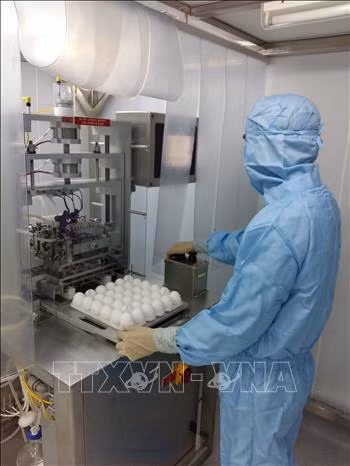 Dịch COVID-19: Chạy đua từng ngày để điều chế vaccine ảnh 5