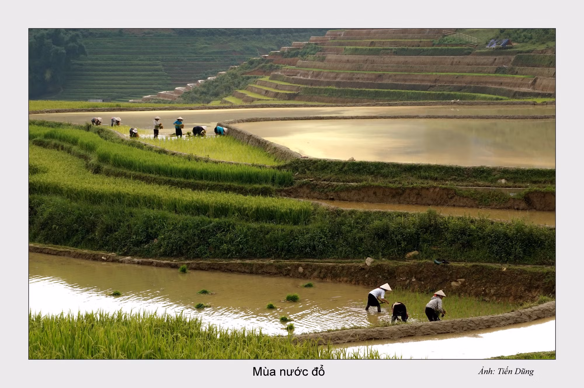 Mùa nước đổ ở Tây Bắc ảnh 17
