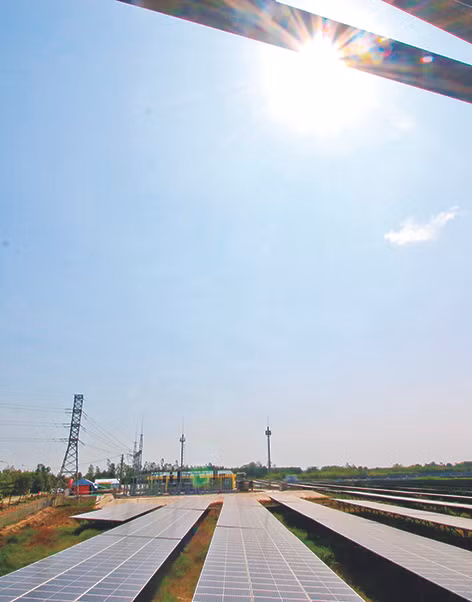 Hậu Giang phát triển kinh tế xanh ảnh 5
