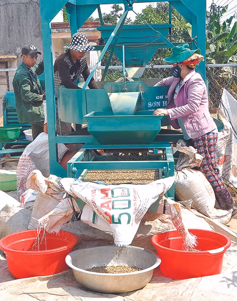 Đắk Tô phát huy hiệu quả liên kết chuỗi giá trị ảnh 6