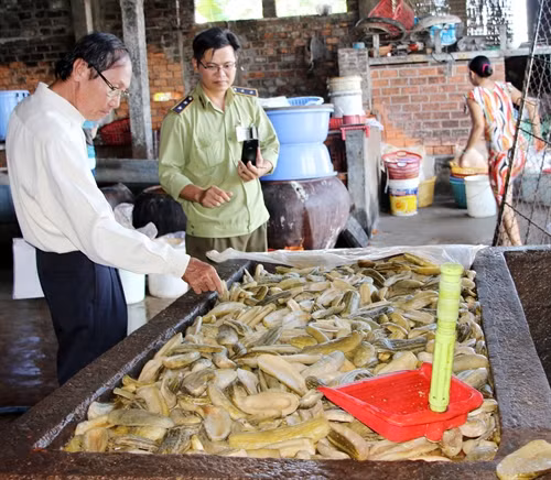 Các bồn chứa dưa mắm bằng xi măng cũ kỹ.
