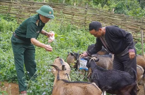 Bác sỹ quân y Bộ đội Biên phòng tỉnh Quảng Nam khám bệnh cho người dân xã biên giới Ga Ry, huyện Tây Giang. Ảnh: Đỗ Trưởng – TTXVN Cán bộ, chiến sỹ Đồn Biên phòng cửa khẩu Quốc tế Tây Trang (Điện Biên) tuyên truyền chủ trương, chính sách cho nhân dân xã Na Ư - địa bàn phức tạp về tệ nạn ma túy. Ảnh: Trần Việt – TTXVN Cán bộ Đồn Biên phòng Huổi Luông (Lai Châu) chủ động, tích cực bám dân, bám bản, tham gia giúp sức cùng đồng bào dân tộc thiểu số sở tại phát triển kinh tế. Ảnh: Việt Hoàng – TTXVN Lực lượng bộ đội và công an hỗ trợ người dân trong vùng đặc biệt nguy hiểm của mưa lũ di dời tài sản đến nơi an toàn tại huyện Văn Chấn, tỉnh Yên Bái. Ảnh: Tuấn Anh –TTXVN Cán bộ Đồn 519 (Bộ đội Biên phòng tỉnh Nghệ An) dạy chữ cho trẻ em dân tộc Mông ở bản Huồi Mới 1, xã Tri Lễ, huyện Quế Phong. Ảnh: TTXVN Cán bộ, chiến sĩ Đồn Biên phòng Huổi Luông (tỉnh Lai Châu) chủ động, tích cực bám dân, bám bản, tham gia giúp sức cùng đồng bào dân tộc thiểu số sở tại phát triển kinh tế. Ảnh: Việt Hoàng – TTXVN Hơn một năm, Thiếu úy Vàng Lao Lừ, Đồn Biên phòng Mường Lạn đã đưa con chữ tới với bản vùng cao xa xôi Co Muông, xã Mường Lạn, huyện Sốp Cộp (Sơn La) để dạy cho học sinh nơi đây. Sau một năm học, 100% các em đều đã biết đọc, biết viết và tính được những phép toán đơn giản. Ảnh: Nguyễn Hồng Cường – TTXVN Cán bộ, chiến sĩ các đơn vị thuộc Quân đoàn 3 giúp nhân dân làng Plei Trớ, xã Chư A Thai, huyện Phú Thiện, tỉnh Gia Lai di chuyển, sắp xếp lại nhà cửa, thực hiện Chương trình mục tiêu quốc gia về xây dựng nông thôn mới của huyện. Ảnh: Hoài Nam – TTXVN Trong sự nghiệp đổi mới, xây dựng và bảo vệ Tổ quốc, công tác dân vận đã hướng vào vận động các tầng lớp nhân dân hăng hái tham gia các phong trào thi đua thực hiện nhiệm vụ phát triển kinh tế - xã hội, củng cố quốc phòng - an ninh, xây dựng hệ thống chính trị. Trong ảnh: Cán bộ, chiến sĩ Đồn Biên phòng Dào San, huyện Phong Thổ, tỉnh Lai Châu thường xuyên xuống bản tuyên truyền cho nhân dân về giữ gìn an ninh trật tự, phương thức phát triển sản xuất, nâng cao năng suất cây trồng, vật nuôi. Ảnh: Công Tuyên – TTXVN Cán bộ, chiến sĩ Đồn Biên phòng Vĩnh Gia (An Giang) giúp dân gặt lúa ở những vùng ngập sâu, máy gặt không thể tiếp cận do ảnh hưởng của lũ. Ảnh: Công Mạo – TTXVN Trưởng Ban Dân vận huyện Tân Uyên, tỉnh Lai Châu (thứ 3 bên trái) cùng cán bộ xã tuyên truyền vận động người dân bản Khau Giếng, xã Hố Mít, huyện Tân Uyên bỏ những phong tục, tập quán lạc hậu, cùng giúp nhau phát triển kinh tế, xóa đói giảm nghèo, chung tay xây dựng nông thôn mới. Ảnh: Quý Trung – TTXVN Cán bộ xã cùng trưởng bản Pá Kim, xã Trung Đồng, huyện Tân Uyên, tỉnh Lai Châu vận động người dân chung tay bảo vệ rừng, không đốt nương bừa bãi gây cháy rừng trong thời tiết hanh khô. Ảnh: Quý Trung – TTXVN Là Bí thư Chi bộ, Trưởng ban công tác Mặt trận thôn và là Phó Đài truyền thanh của xã, anh Đinh Văn Thắng, dân tộc Mường, thôn Nga 3, xã Cúc Phương, huyện Nho Quan (Ninh Bình) phối hợp với các ban, ngành, đoàn thể tuyên truyền, vận động nhân dân xây dựng nếp sống văn minh trong việc cưới, việc tang và lễ hội; từng bước xoá bỏ các phong tục, tập quán lạc hậu, mê tín dị đoan... Ảnh: Minh Đức – TTXVN Đồn Biên phòng Thị Hoa, huyện Hạ Lang, tỉnh Cao Bằng vận động một số tổ chức trong tỉnh đóng góp tiền xây tặng nhà tình nghĩa cho các gia đình chính sách, giúp đồng bào trồng mía, góp phần nâng cao đời sống cho nhân dân nơi đơn vị đóng quân. Ảnh: TTXVN Công ty 75 thuộc Binh đoàn 15 làm tốt công tác dân vận nơi đơn vị đóng quân. Đơn vị đã kết nghĩa 43/43 làng dân tộc tại địa phương, tổ chức thăm hỏi, tặng quà cho đồng bào, đóng góp hàng nghìn công lao động làm đường giao thông, xây dựng nhà rông văn hóa, khám chữa bệnh cho hàng nghìn lượt người... Ảnh: TTXVN