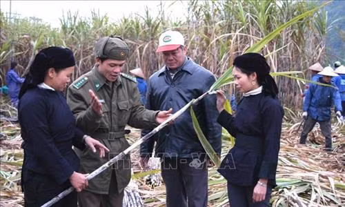 Bác sỹ quân y Bộ đội Biên phòng tỉnh Quảng Nam khám bệnh cho người dân xã biên giới Ga Ry, huyện Tây Giang. Ảnh: Đỗ Trưởng – TTXVN Cán bộ, chiến sỹ Đồn Biên phòng cửa khẩu Quốc tế Tây Trang (Điện Biên) tuyên truyền chủ trương, chính sách cho nhân dân xã Na Ư - địa bàn phức tạp về tệ nạn ma túy. Ảnh: Trần Việt – TTXVN Cán bộ Đồn Biên phòng Huổi Luông (Lai Châu) chủ động, tích cực bám dân, bám bản, tham gia giúp sức cùng đồng bào dân tộc thiểu số sở tại phát triển kinh tế. Ảnh: Việt Hoàng – TTXVN Lực lượng bộ đội và công an hỗ trợ người dân trong vùng đặc biệt nguy hiểm của mưa lũ di dời tài sản đến nơi an toàn tại huyện Văn Chấn, tỉnh Yên Bái. Ảnh: Tuấn Anh –TTXVN Cán bộ Đồn 519 (Bộ đội Biên phòng tỉnh Nghệ An) dạy chữ cho trẻ em dân tộc Mông ở bản Huồi Mới 1, xã Tri Lễ, huyện Quế Phong. Ảnh: TTXVN Cán bộ, chiến sĩ Đồn Biên phòng Huổi Luông (tỉnh Lai Châu) chủ động, tích cực bám dân, bám bản, tham gia giúp sức cùng đồng bào dân tộc thiểu số sở tại phát triển kinh tế. Ảnh: Việt Hoàng – TTXVN Hơn một năm, Thiếu úy Vàng Lao Lừ, Đồn Biên phòng Mường Lạn đã đưa con chữ tới với bản vùng cao xa xôi Co Muông, xã Mường Lạn, huyện Sốp Cộp (Sơn La) để dạy cho học sinh nơi đây. Sau một năm học, 100% các em đều đã biết đọc, biết viết và tính được những phép toán đơn giản. Ảnh: Nguyễn Hồng Cường – TTXVN Cán bộ, chiến sĩ các đơn vị thuộc Quân đoàn 3 giúp nhân dân làng Plei Trớ, xã Chư A Thai, huyện Phú Thiện, tỉnh Gia Lai di chuyển, sắp xếp lại nhà cửa, thực hiện Chương trình mục tiêu quốc gia về xây dựng nông thôn mới của huyện. Ảnh: Hoài Nam – TTXVN Trong sự nghiệp đổi mới, xây dựng và bảo vệ Tổ quốc, công tác dân vận đã hướng vào vận động các tầng lớp nhân dân hăng hái tham gia các phong trào thi đua thực hiện nhiệm vụ phát triển kinh tế - xã hội, củng cố quốc phòng - an ninh, xây dựng hệ thống chính trị. Trong ảnh: Cán bộ, chiến sĩ Đồn Biên phòng Dào San, huyện Phong Thổ, tỉnh Lai Châu thường xuyên xuống bản tuyên truyền cho nhân dân về giữ gìn an ninh trật tự, phương thức phát triển sản xuất, nâng cao năng suất cây trồng, vật nuôi. Ảnh: Công Tuyên – TTXVN Cán bộ, chiến sĩ Đồn Biên phòng Vĩnh Gia (An Giang) giúp dân gặt lúa ở những vùng ngập sâu, máy gặt không thể tiếp cận do ảnh hưởng của lũ. Ảnh: Công Mạo – TTXVN Trưởng Ban Dân vận huyện Tân Uyên, tỉnh Lai Châu (thứ 3 bên trái) cùng cán bộ xã tuyên truyền vận động người dân bản Khau Giếng, xã Hố Mít, huyện Tân Uyên bỏ những phong tục, tập quán lạc hậu, cùng giúp nhau phát triển kinh tế, xóa đói giảm nghèo, chung tay xây dựng nông thôn mới. Ảnh: Quý Trung – TTXVN Cán bộ xã cùng trưởng bản Pá Kim, xã Trung Đồng, huyện Tân Uyên, tỉnh Lai Châu vận động người dân chung tay bảo vệ rừng, không đốt nương bừa bãi gây cháy rừng trong thời tiết hanh khô. Ảnh: Quý Trung – TTXVN Là Bí thư Chi bộ, Trưởng ban công tác Mặt trận thôn và là Phó Đài truyền thanh của xã, anh Đinh Văn Thắng, dân tộc Mường, thôn Nga 3, xã Cúc Phương, huyện Nho Quan (Ninh Bình) phối hợp với các ban, ngành, đoàn thể tuyên truyền, vận động nhân dân xây dựng nếp sống văn minh trong việc cưới, việc tang và lễ hội; từng bước xoá bỏ các phong tục, tập quán lạc hậu, mê tín dị đoan... Ảnh: Minh Đức – TTXVN Đồn Biên phòng Thị Hoa, huyện Hạ Lang, tỉnh Cao Bằng vận động một số tổ chức trong tỉnh đóng góp tiền xây tặng nhà tình nghĩa cho các gia đình chính sách, giúp đồng bào trồng mía, góp phần nâng cao đời sống cho nhân dân nơi đơn vị đóng quân. Ảnh: TTXVN Công ty 75 thuộc Binh đoàn 15 làm tốt công tác dân vận nơi đơn vị đóng quân. Đơn vị đã kết nghĩa 43/43 làng dân tộc tại địa phương, tổ chức thăm hỏi, tặng quà cho đồng bào, đóng góp hàng nghìn công lao động làm đường giao thông, xây dựng nhà rông văn hóa, khám chữa bệnh cho hàng nghìn lượt người... Ảnh: TTXVN