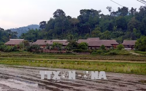 Những ngôi nhà sàn truyền thống thôn Tân Lập, xã Tân Trào, huyện Sơn Dương (Tuyên Quang). Ảnh: Quang Đán – TTXVN