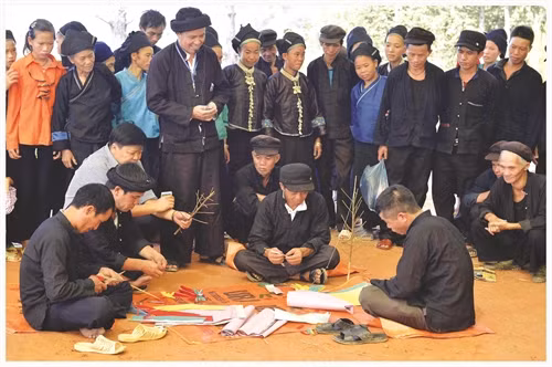 Thi cắt hoa trang trí