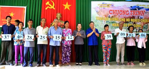 Các hộ nghèo bốc thăm nhận bò giống.