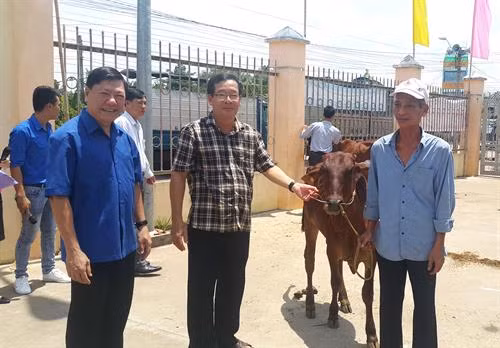 Lãnh đạo huyện Trà Ôn trao bò giống cho hộ nghèo.
