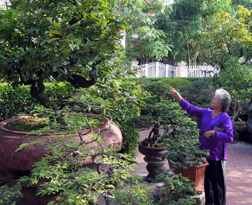 Bà Tôn Nữ Thị Hà chăm sóc vườn cây cảnh của mình tại Tịnh Gia Viên