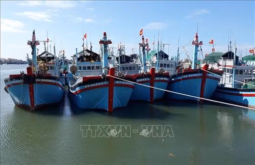 Đội tàu đánh bắt xa bờ của ngư dân Ninh Thuận cập bến tại cảng cá Cà Ná (Thuận Nam, Ninh Thuận). Ảnh: Nguyễn Thành – TTXVN