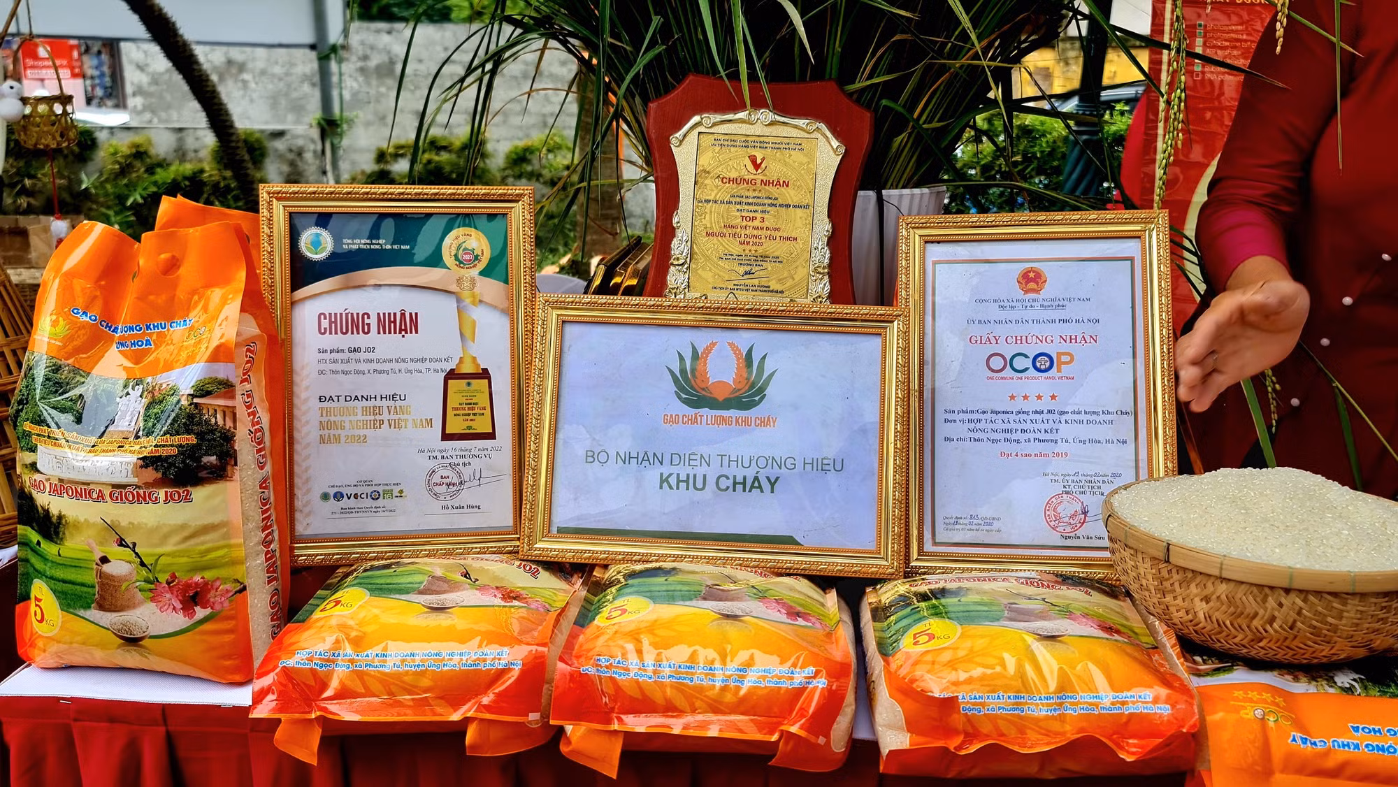 Hội chợ phụ nữ khởi nghiệp nâng cao ý thức của người tiêu dùng về phong trào người Việt dùng hàng Việt ảnh 6