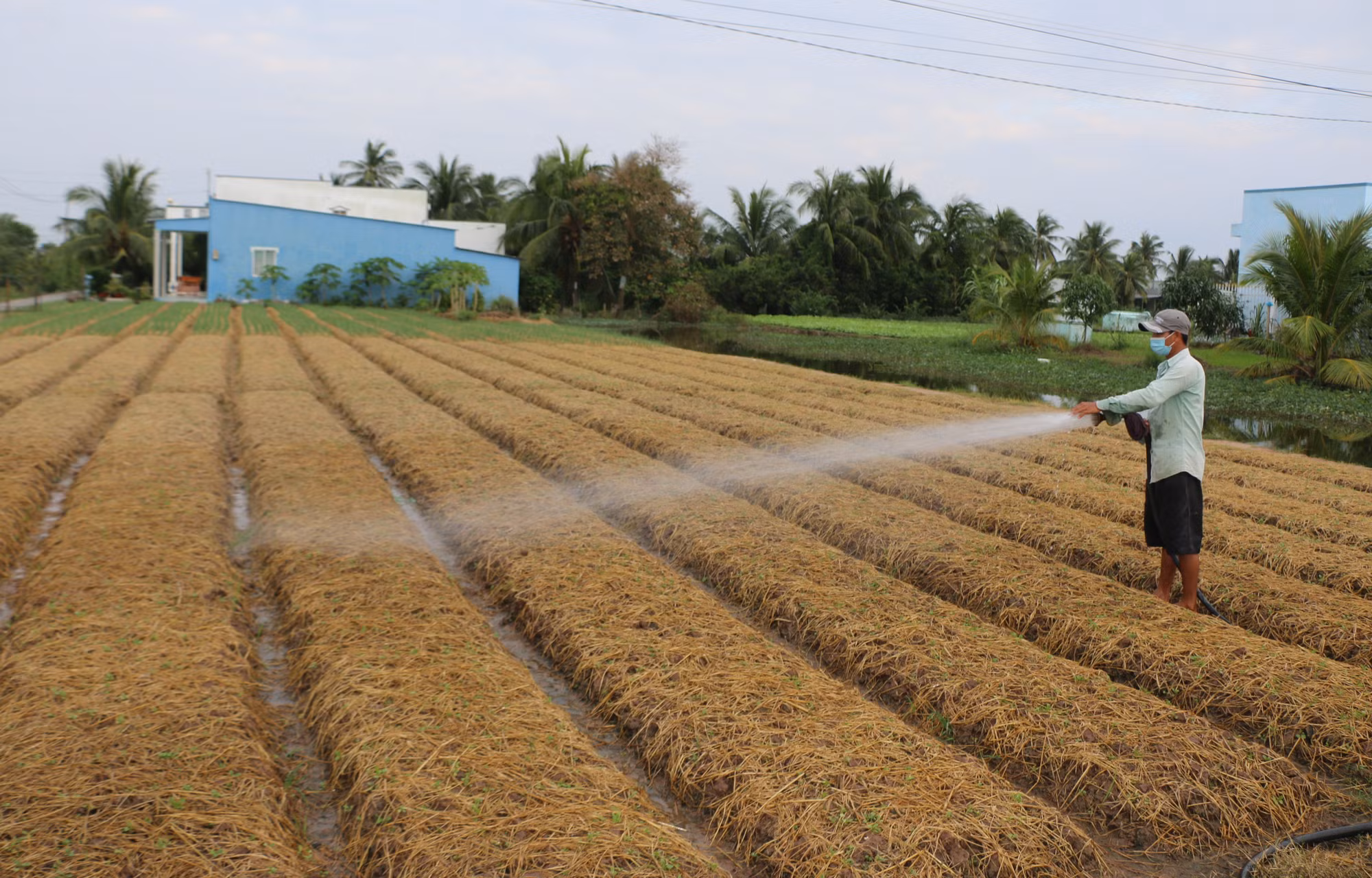 Bạc Liêu có nhiều chương trình, chính sách giúp nâng cao đời sống đồng bào dân tộc Khmer ảnh 2