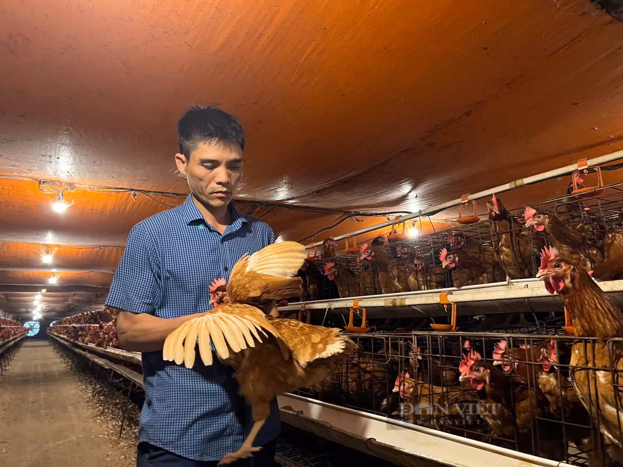 Anh Nguyễn Văn Minh thu 400 triệu đồng/năm từ mô hình gà đẻ trứng an toàn ảnh 2