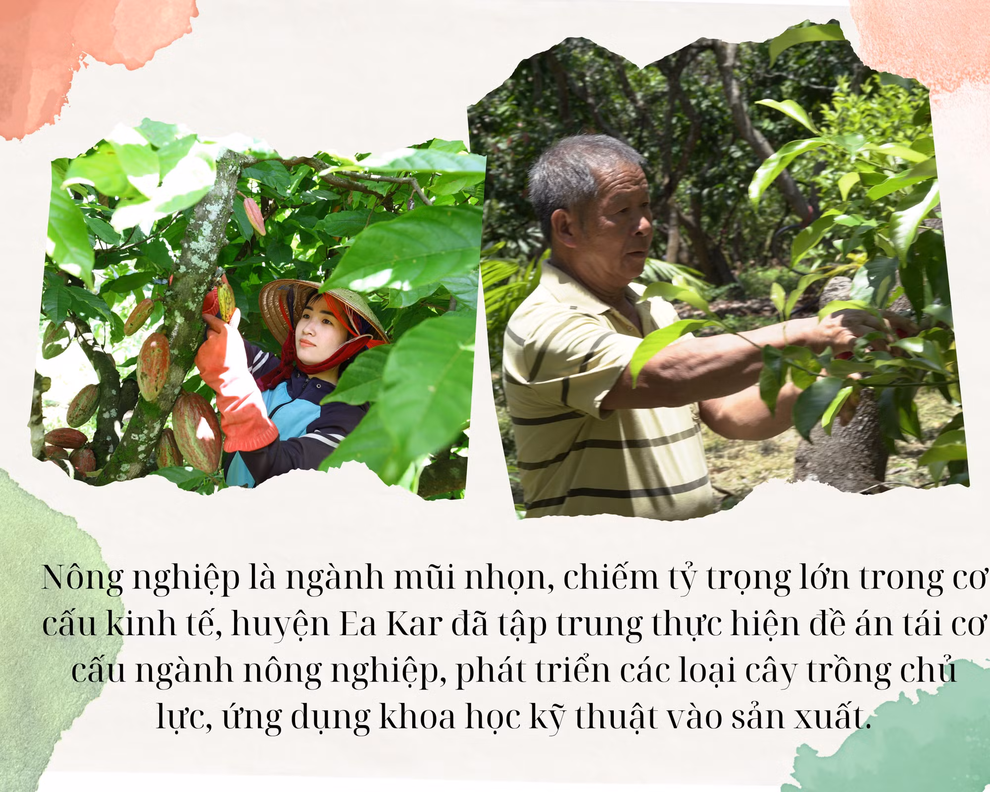 Đắk Lắk phát triển nông sản chủ lực nâng cao đời sống nhân dân ảnh 1
