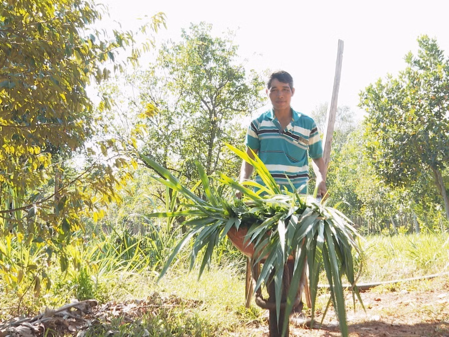 Quỹ hỗ trợ nông dân tạo động lực thoát nghèo ở vùng biên ảnh 1