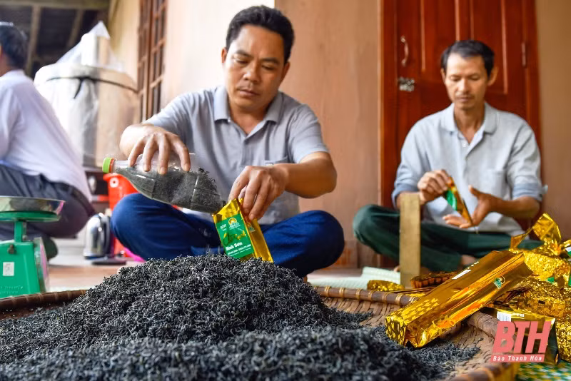 Chuyện làm OCOP ở xã nghèo thuộc diện 135 Bình Sơn ảnh 1