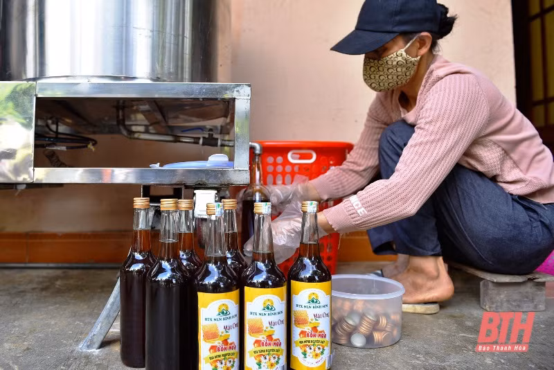 Chuyện làm OCOP ở xã nghèo thuộc diện 135 Bình Sơn ảnh 2