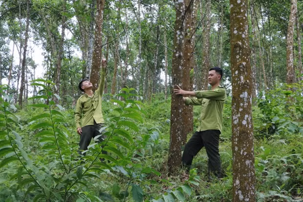 Phát triển kinh tế vùng Trung du và miền núi Bắc Bộ ( Bài 1) ảnh 2