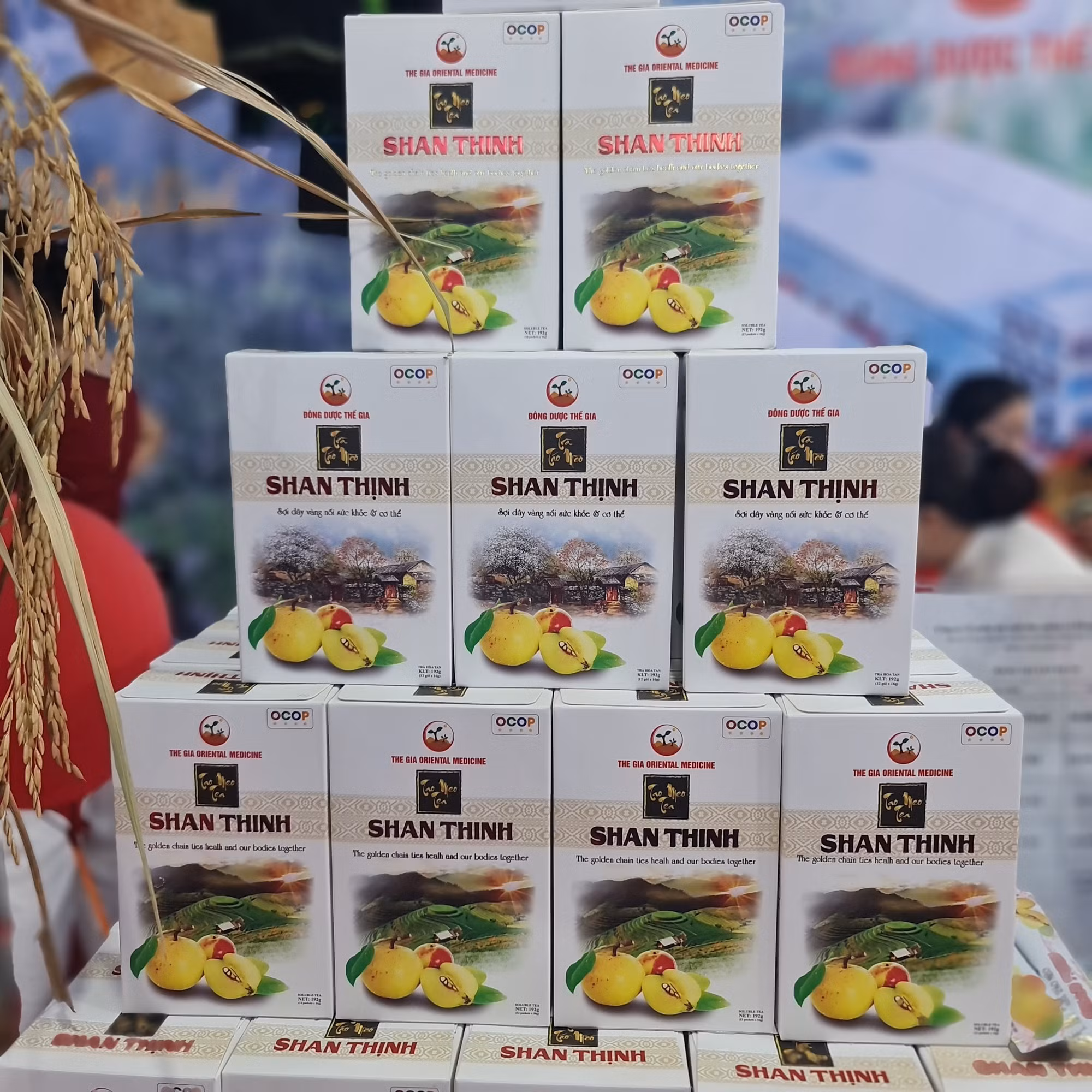 Khai mạc lễ hội trà Shan Tuyết “Tinh hoa giữa ngàn mây” lần thứ nhất năm 2023 ảnh 14