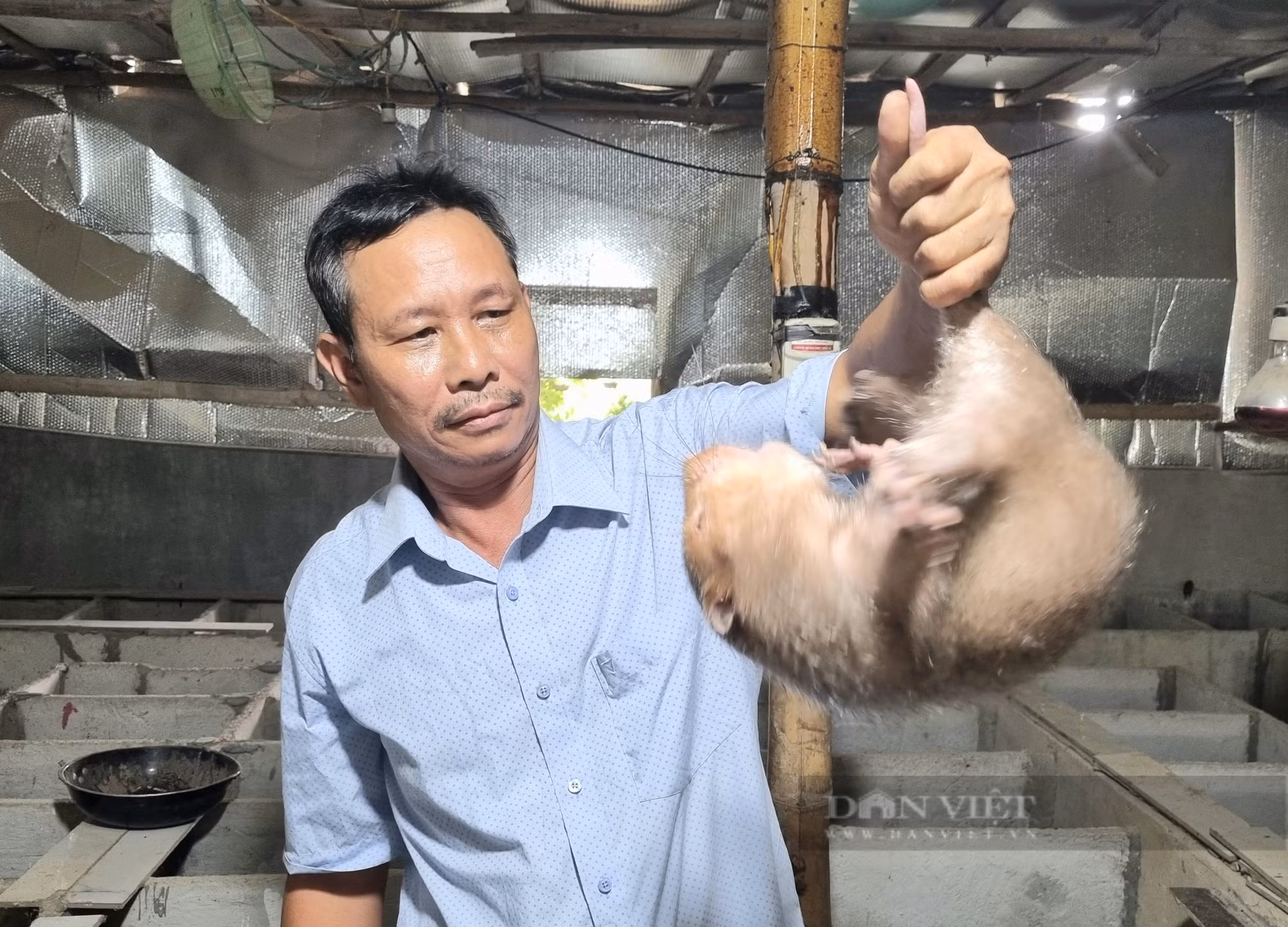 Ông Lê Trọng Lệ thu nhập 1 tỷ đồng/năm từ nuôi dúi ảnh 2