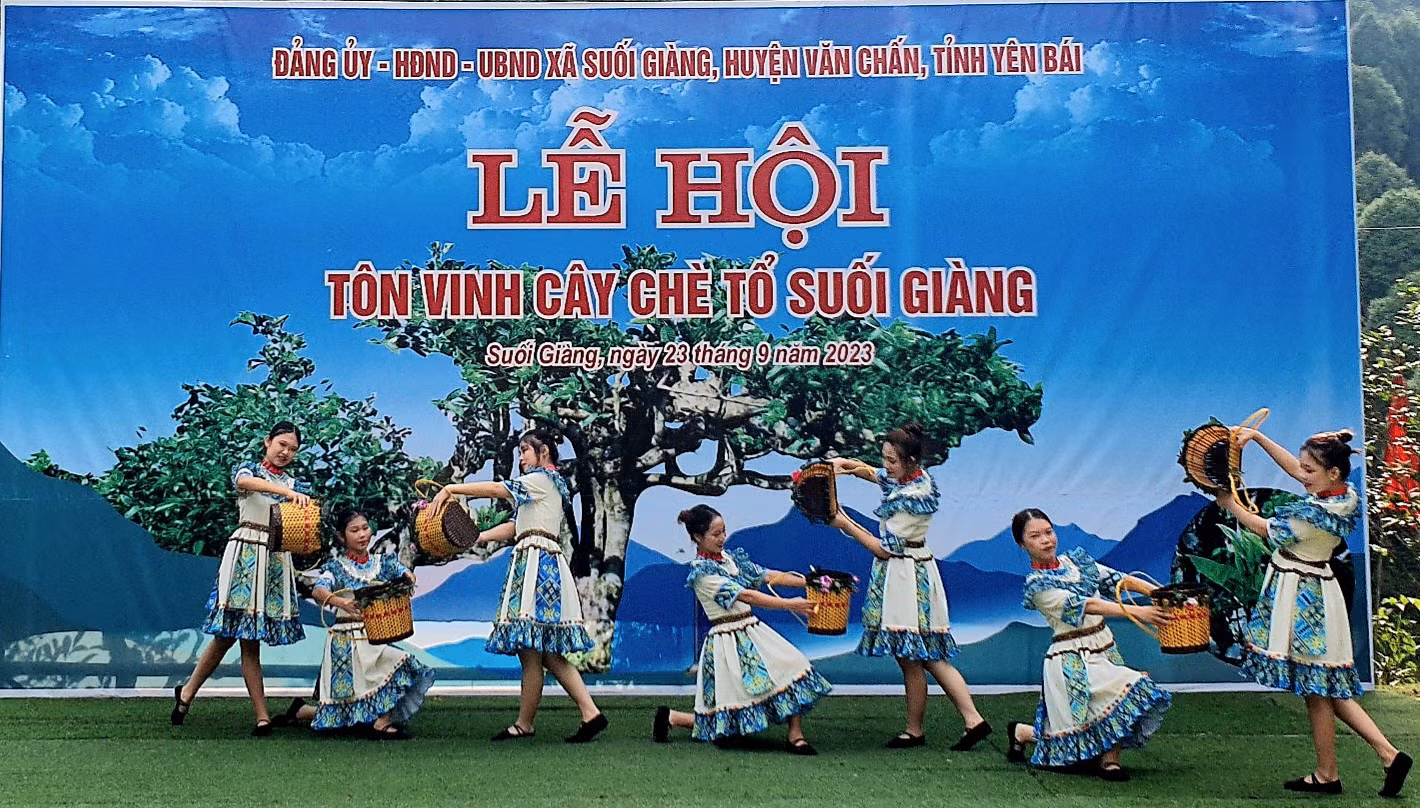  Lễ hội Tôn vinh cây chè Tổ Suối Giàng ảnh 14