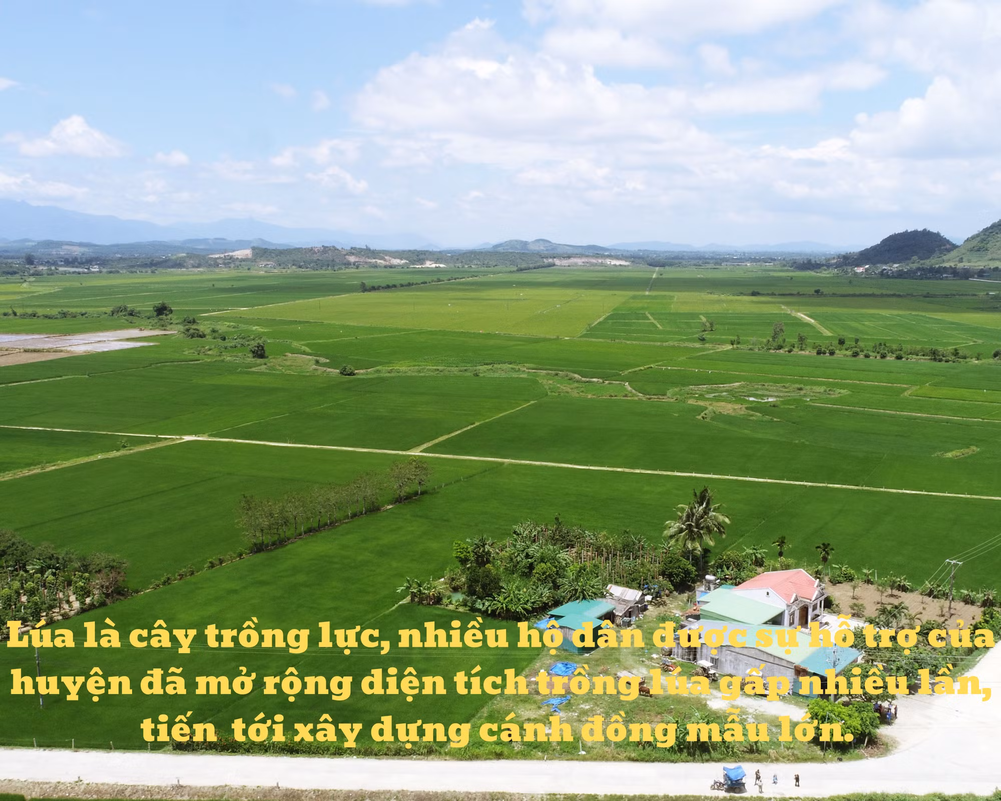 Đắk Lắk phát triển nông sản chủ lực nâng cao đời sống nhân dân ảnh 4