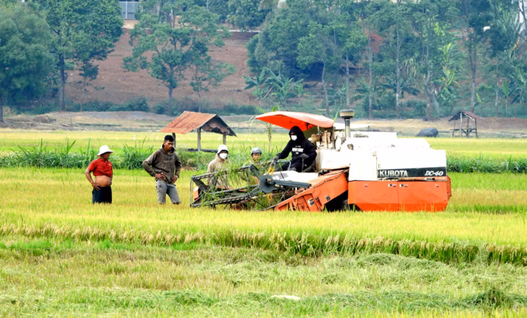 Bình Phước: Xã biên giới Lộc Phú vượt khó về đích nông thôn mới ảnh 1
