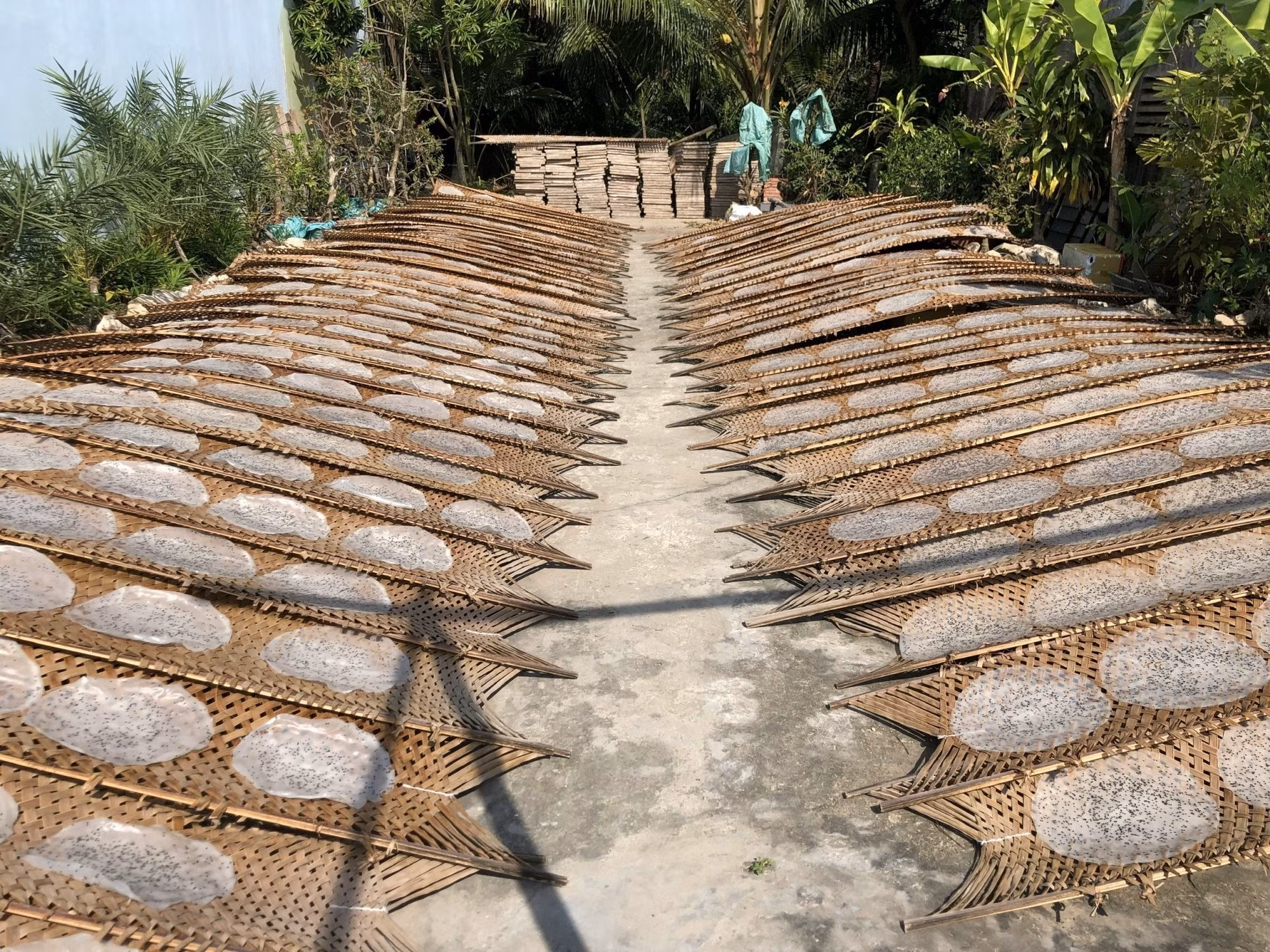200 năm thương hiệu bánh tráng Thuận Hưng ảnh 7