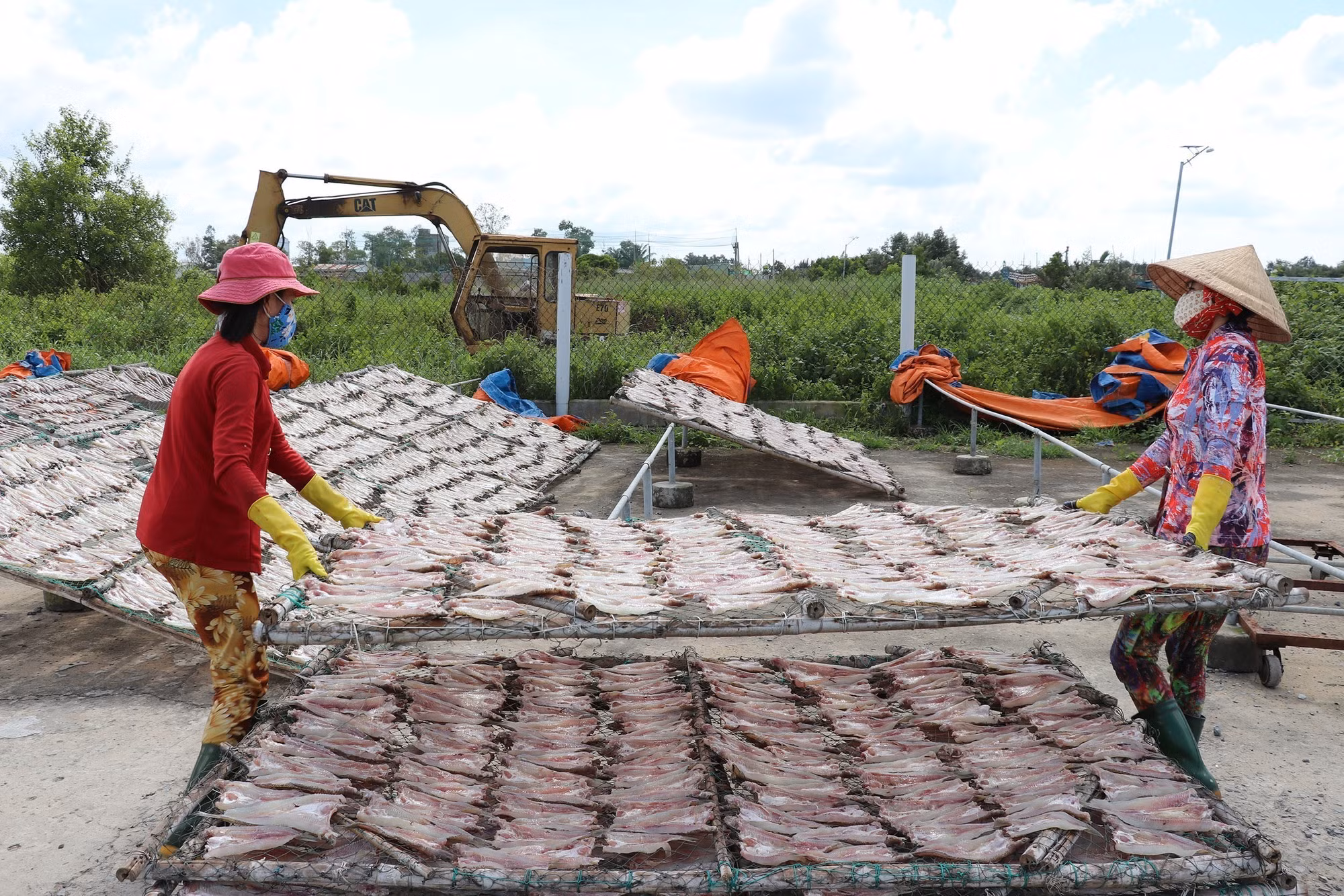 Làng nghề cá khô Vàm Láng nhộn nhịp sản xuất vụ Tết ảnh 2