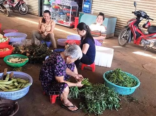 Nhóm cơ chay Thiện Duyên chuẩn bị nguyên liệu nấu cơm từ thiện. Ảnh: K GỬIH -TTXVN
