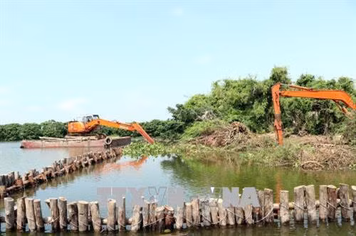Thi công công trình kè chống sạt lở và mở rộng diện tích Đảo Cò. Ảnh: Mạnh Tú - TTXVN
