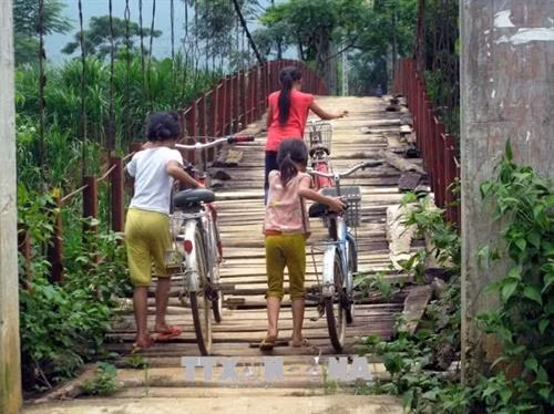 Các em học sinh và người dân trên địa bàn xã Chí Đạo phải lưu thông qua cây cầu xóm Hai Ót đã xuống cấp nghiêm trọng, những tấm ván gỗ và tre đã mục nát, gẫy rụng. Ảnh: Vũ Hà - TTXVN