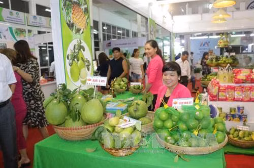 Gian hàng trưng bày nông sản sạch và an toàn. Ảnh: Ngọc Thiện - TTXVN