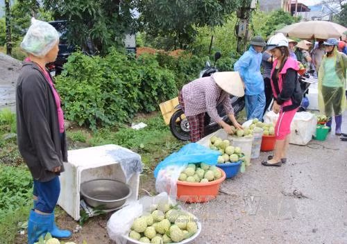 Một góc chợ na La Hiên ven Quốc lộ 1B. Ảnh: Hoàng Nguyên - TTXVN