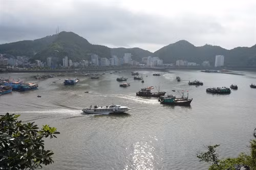 Khu bến tàu, cảng cá Cát Bà.