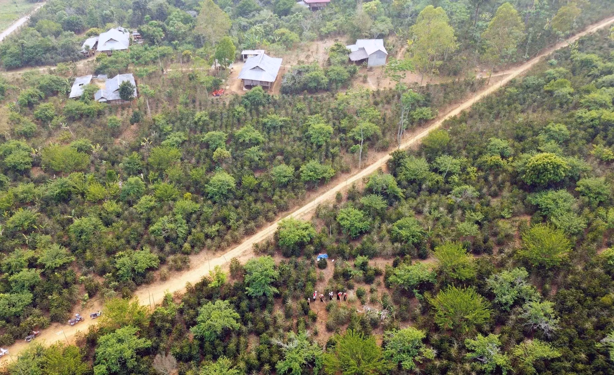 Huyện Thuận Châu (Sơn La) phấn đấu thoát nghèo vào năm 2025 ảnh 11