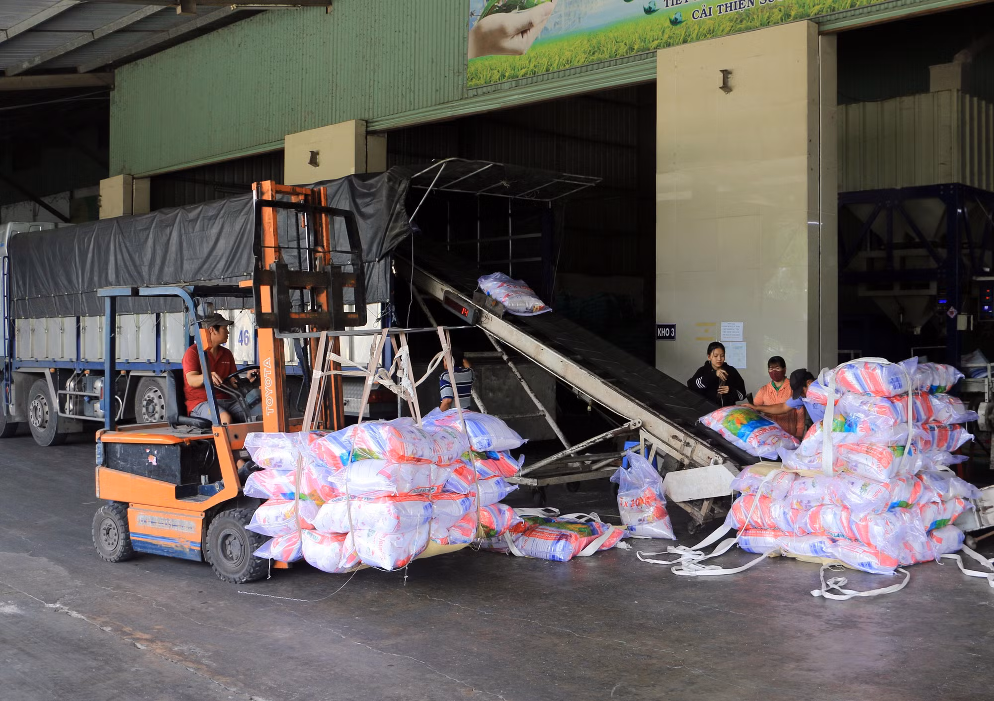 Vĩnh Long chủ động thu mua, dự trữ và xuất khẩu gạo ảnh 3