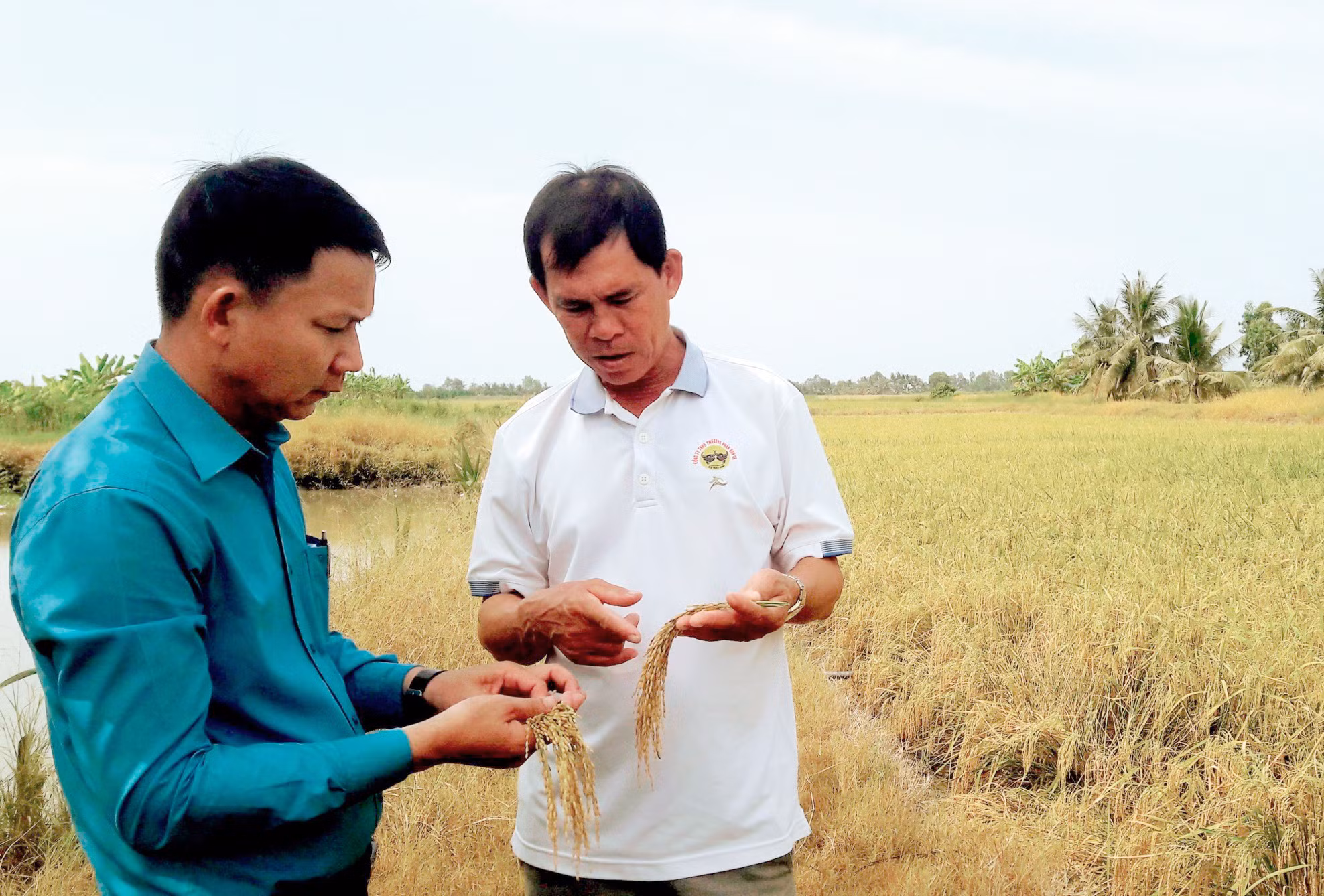Sức sống mới ở vùng đồng bào dân tộc Khmer ảnh 6