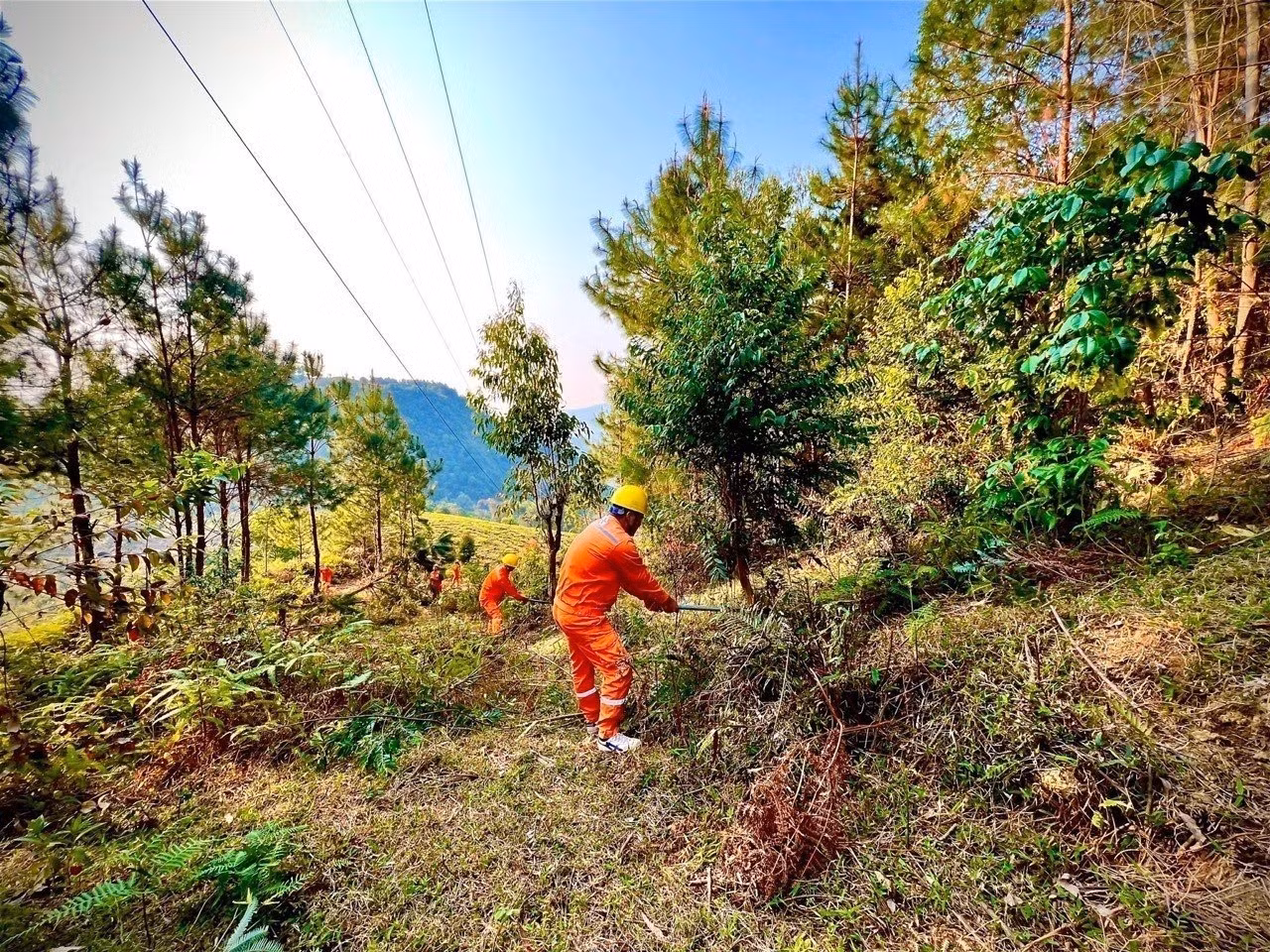 Lai Châu chủ động phương án giảm thiệt hại do thiên tai với lưới điện ảnh 3