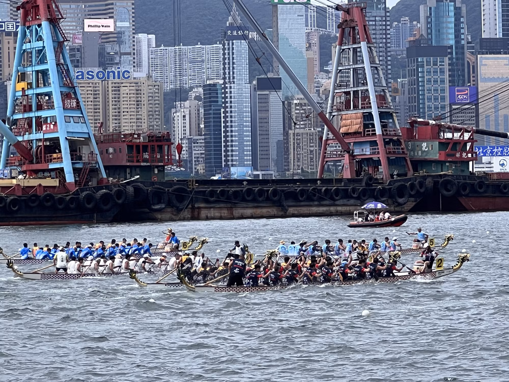 Sôi động cuộc đua thuyền rồng quốc tế ở Hong Kong (Trung Quốc) ảnh 3