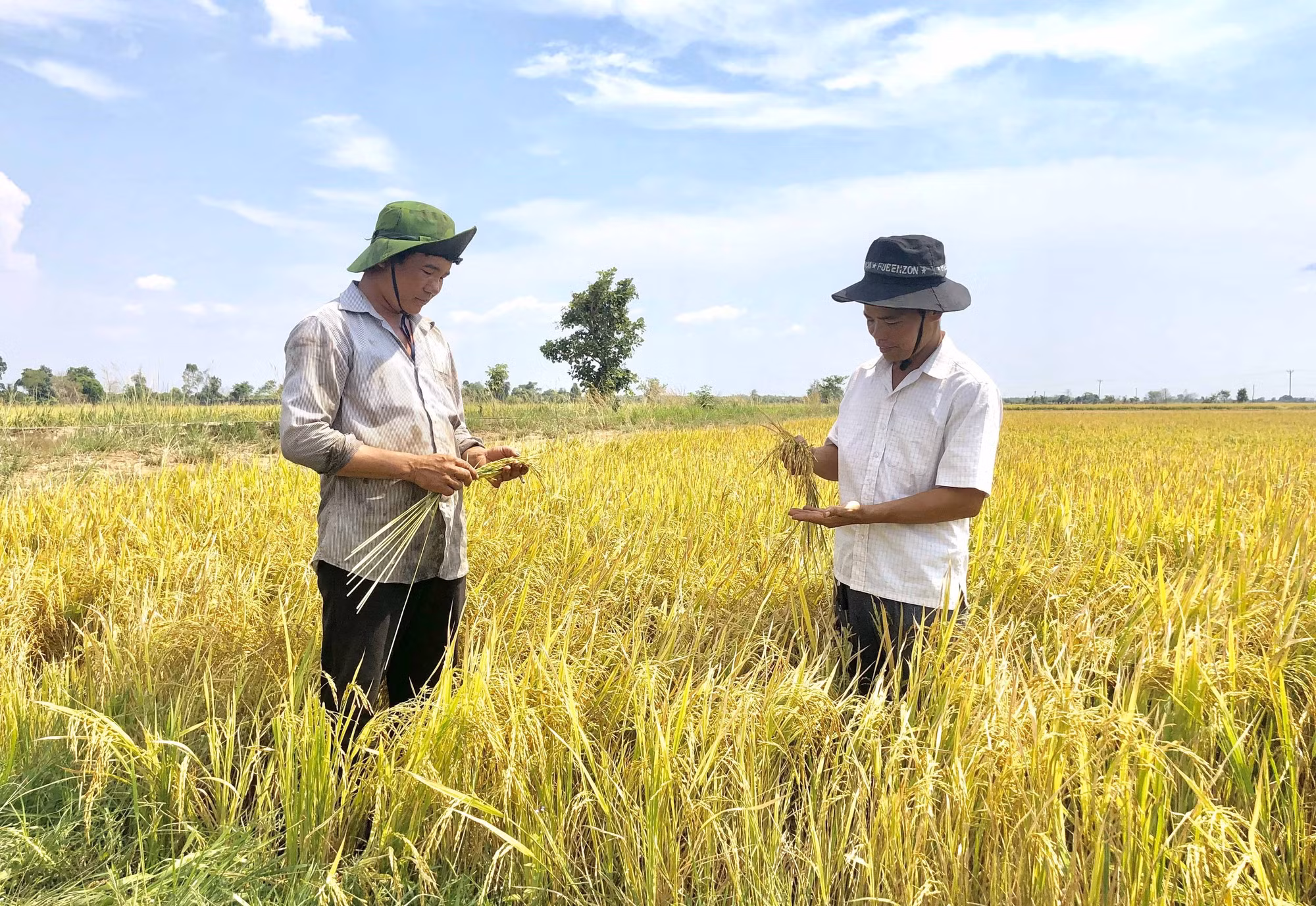 Xuân về vùng biên Chư Prông ảnh 4