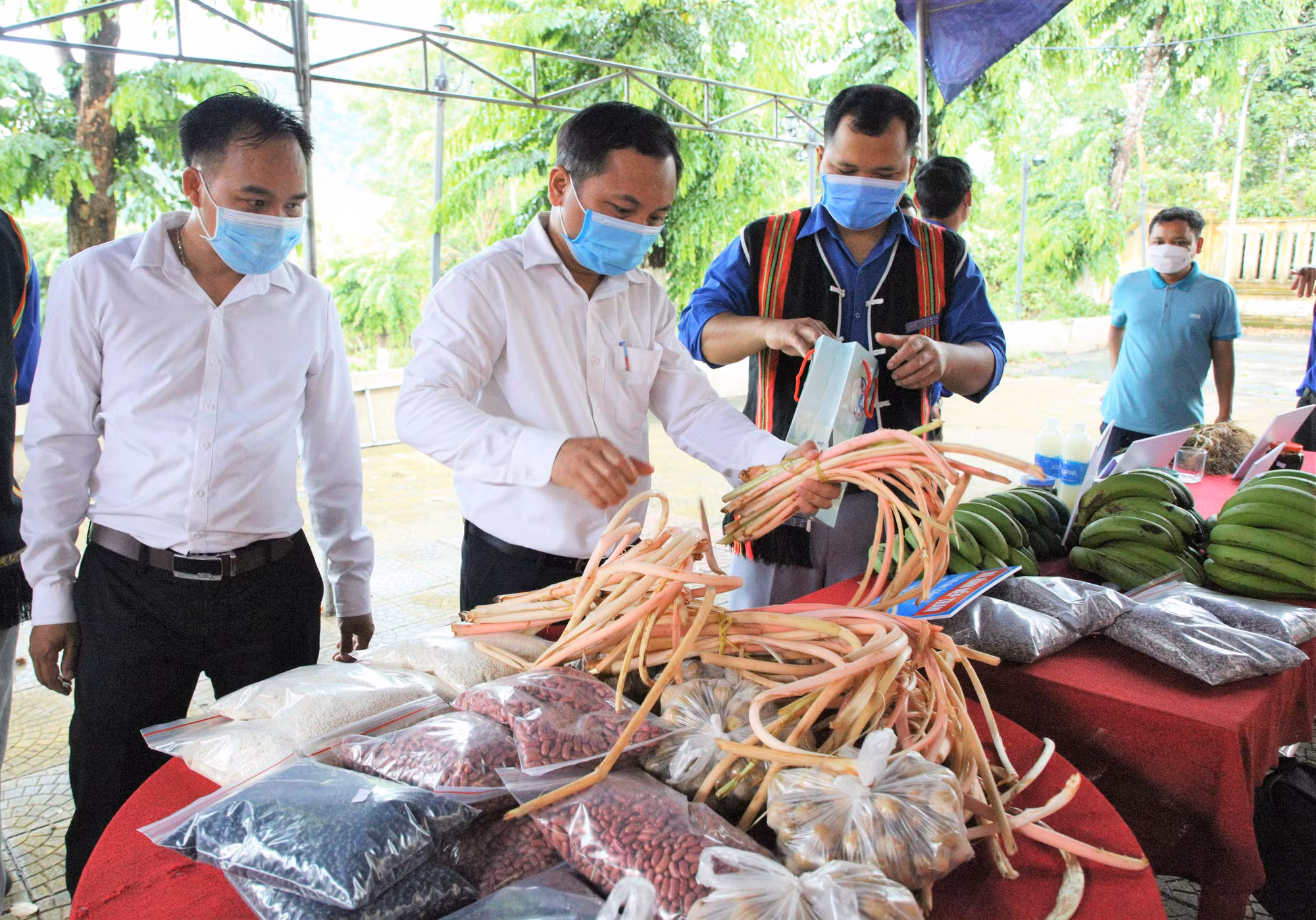 Giảm nghèo ở Nam Giang ảnh 5