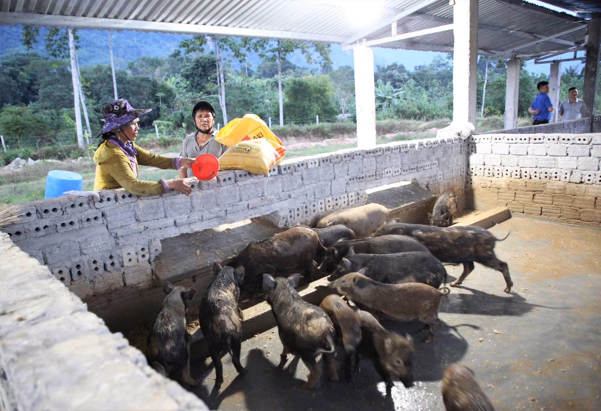 Giảm nghèo ở Nam Giang ảnh 3