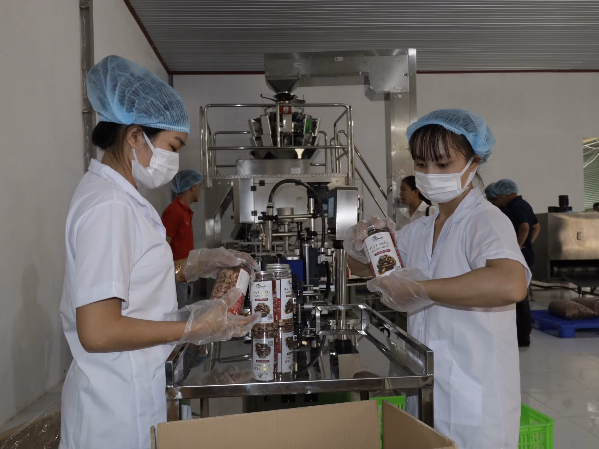 Bình Phước: Sản xuất điều theo công nghệ mới, thân thiện môi trường ảnh 2
