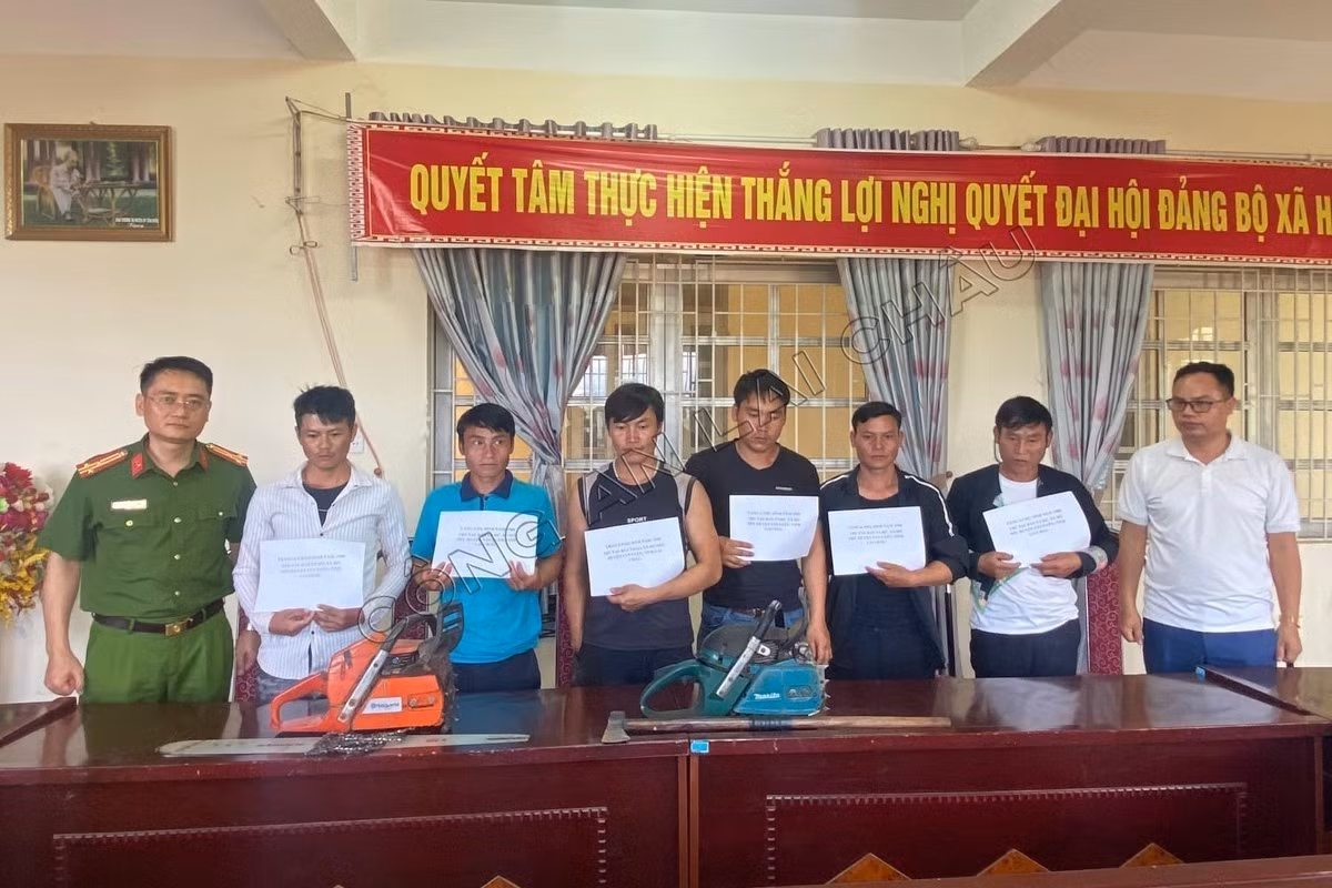 Lai Châu: Tạm giữ hình sự 8 đối tượng trong vụ phá rừng phòng hộ ảnh 4