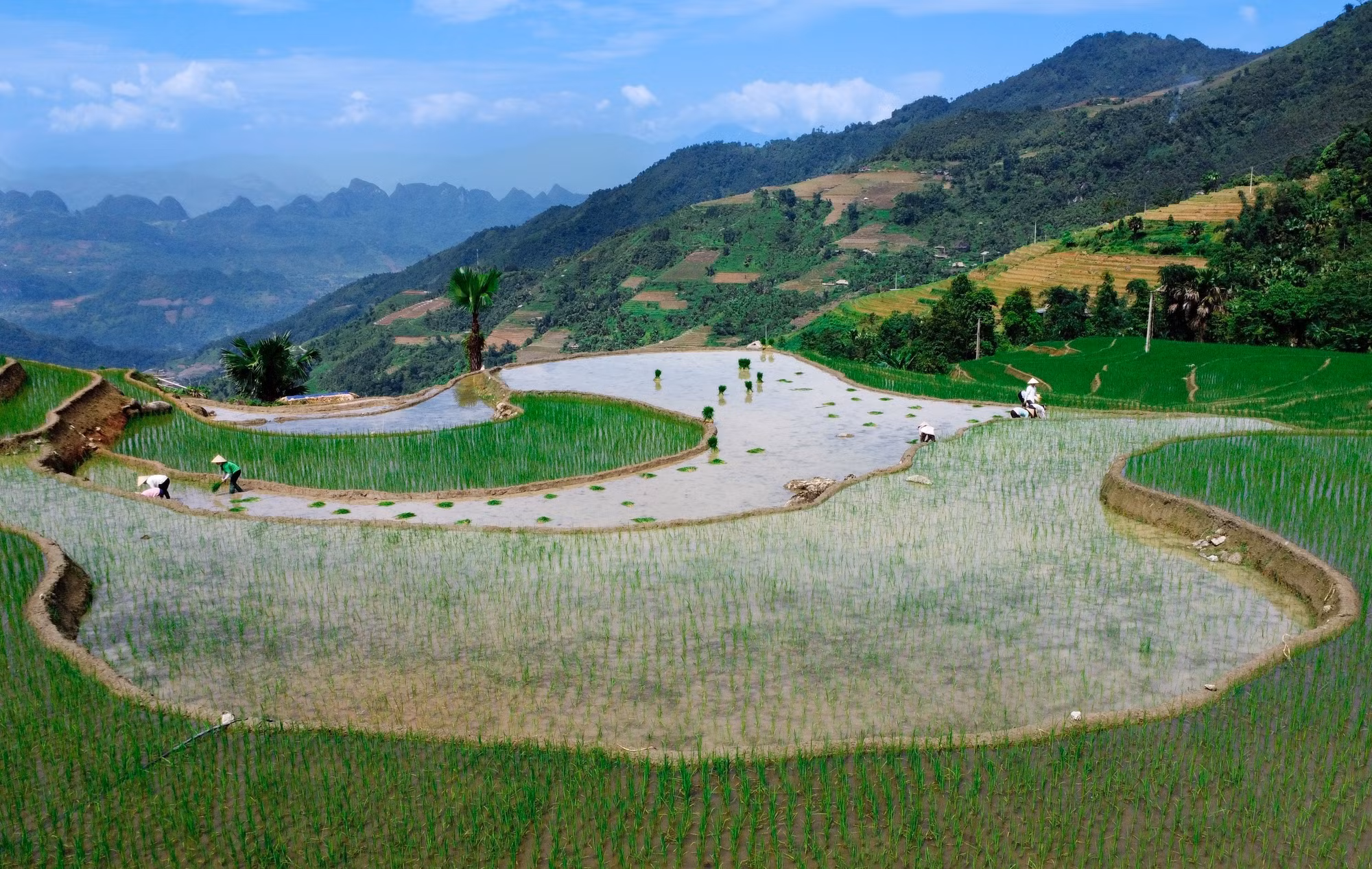 Hà Giang mùa nước đổ muộn ảnh 3