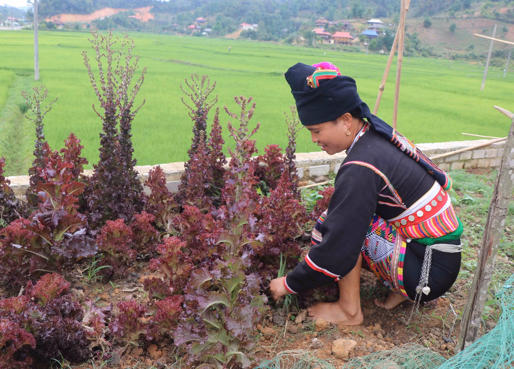 Cuộc sống của người Khơ Mú ở bản Kéo (Điện Biên) ảnh 8