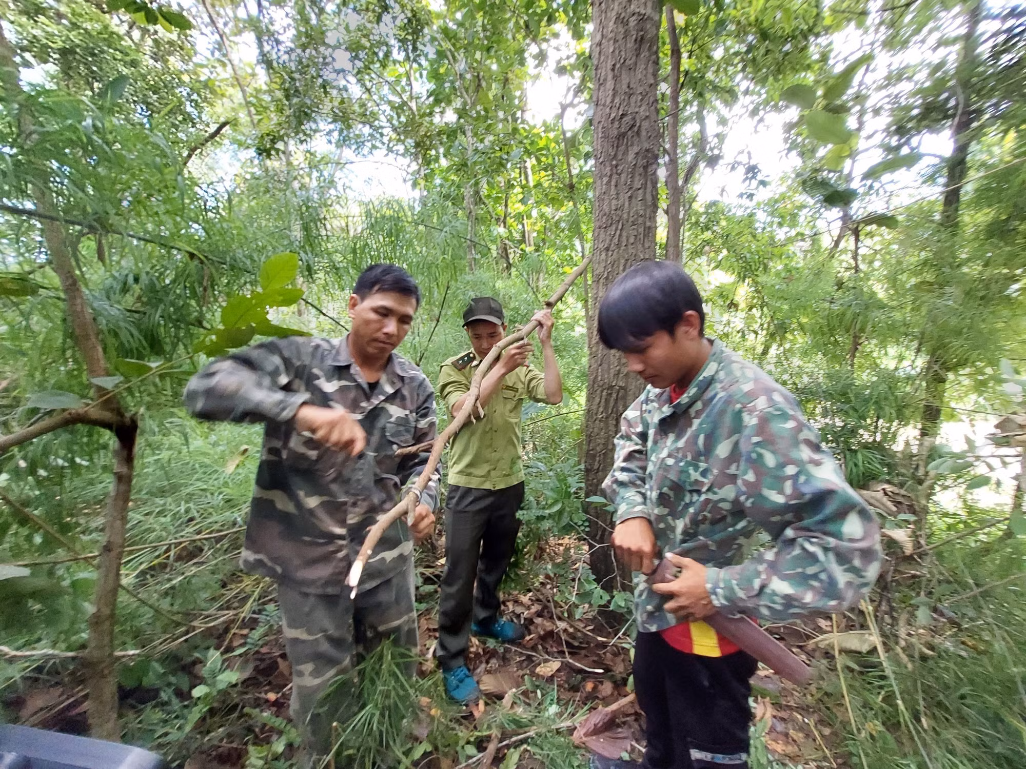 Đắk Lắk: Phát huy vai trò cộng đồng trong bảo vệ động vật hoang dã ảnh 2