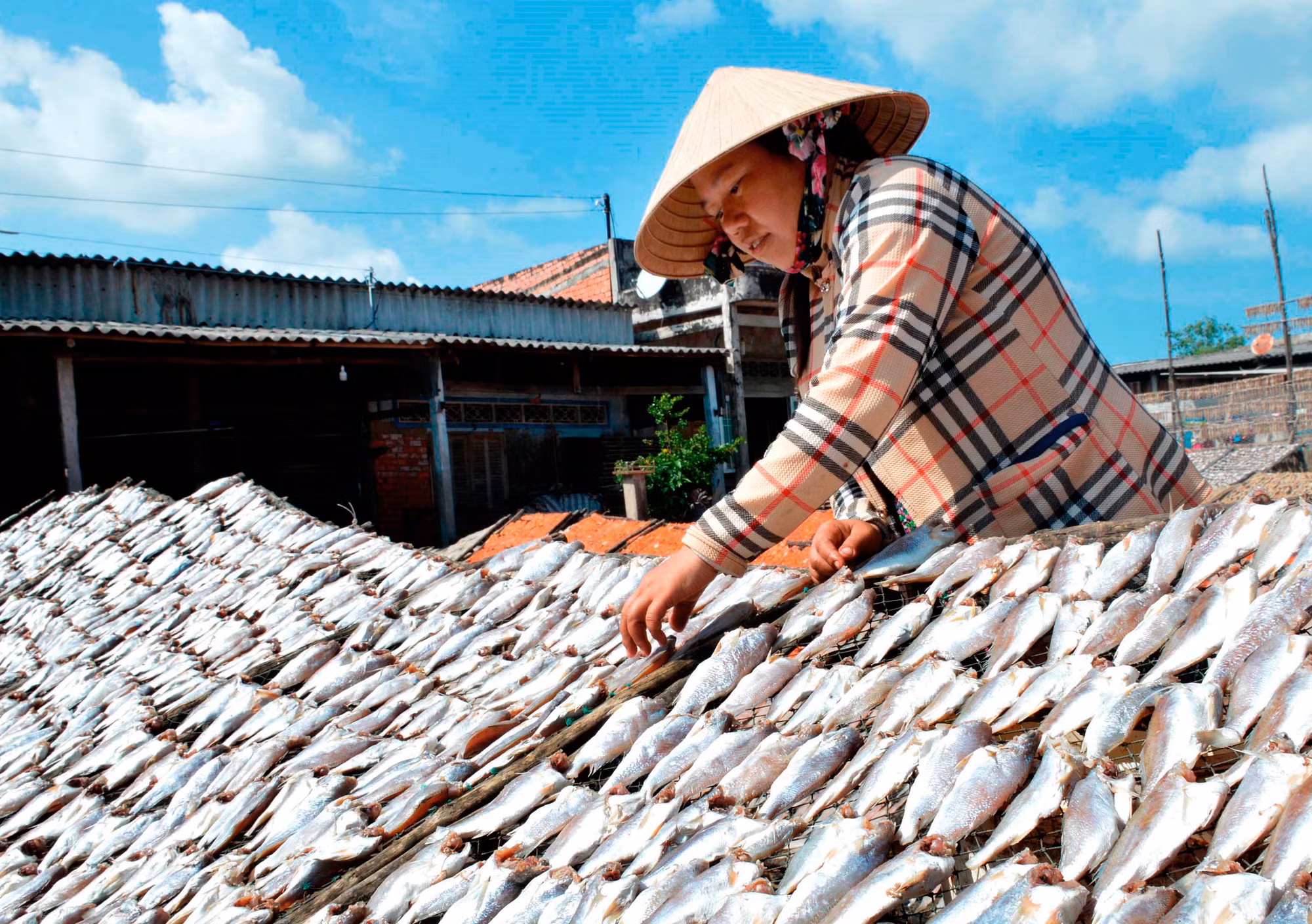 Phú Tân - khát vọng làm giàu từ biển ảnh 5