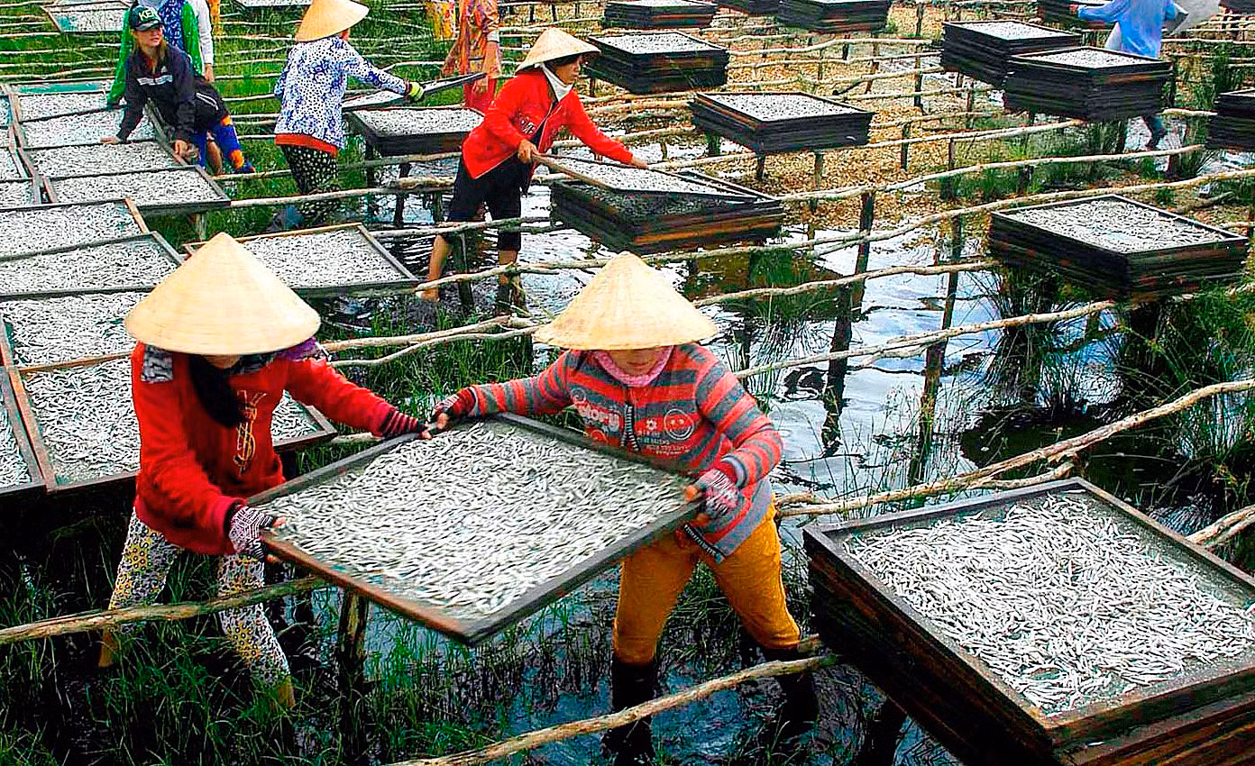 Phú Tân - khát vọng làm giàu từ biển ảnh 3
