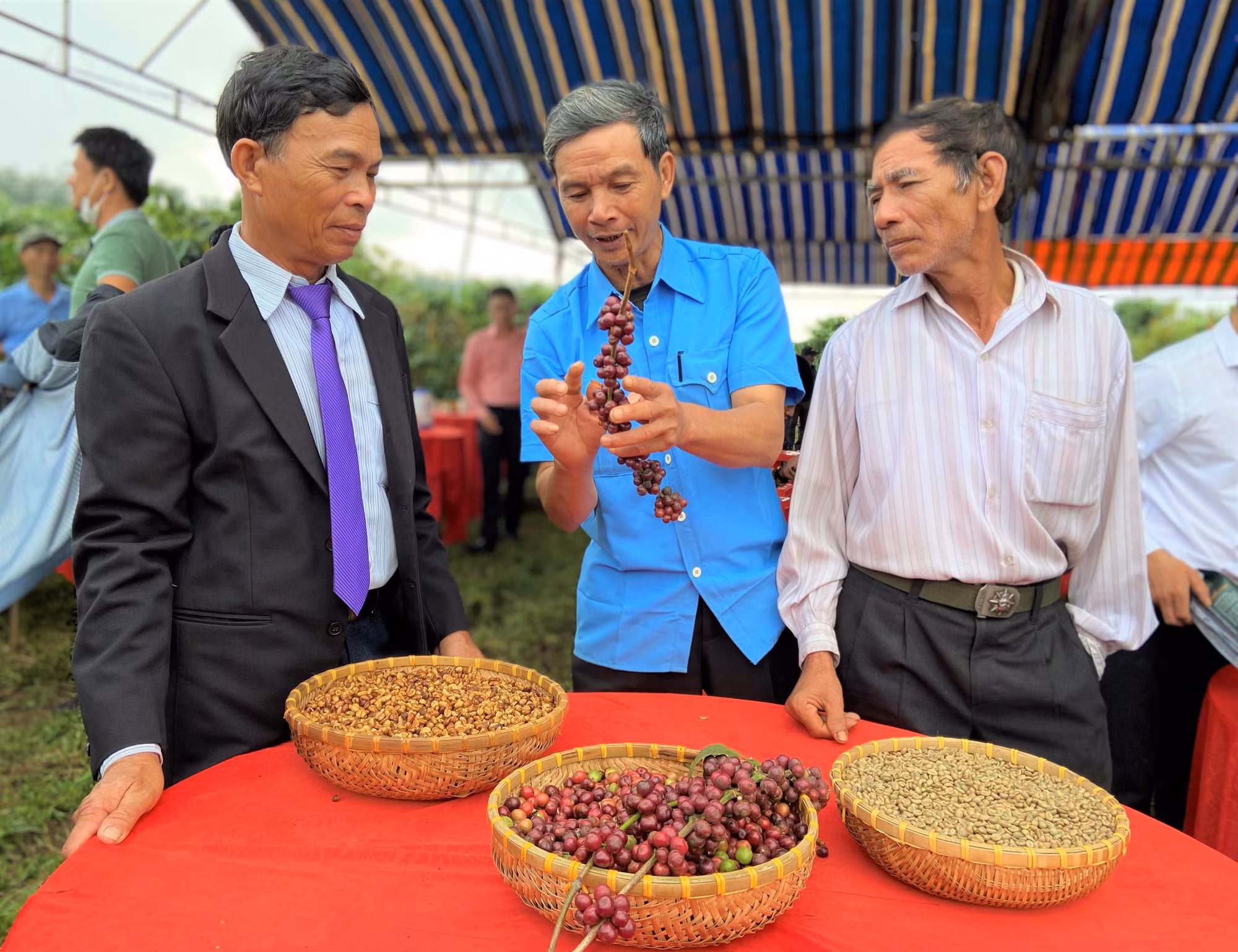 Đắk Nông hướng đến nền nông nghiệp xanh ảnh 5